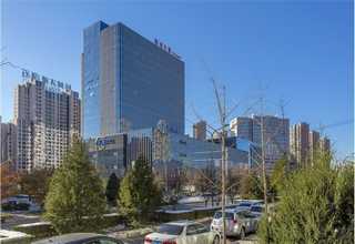 广东EPP齿轮瑜伽棒定制